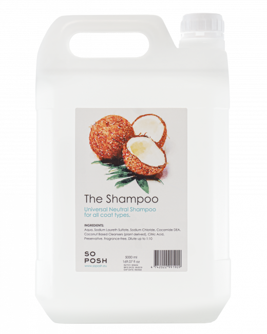 The Shampoo 5 л