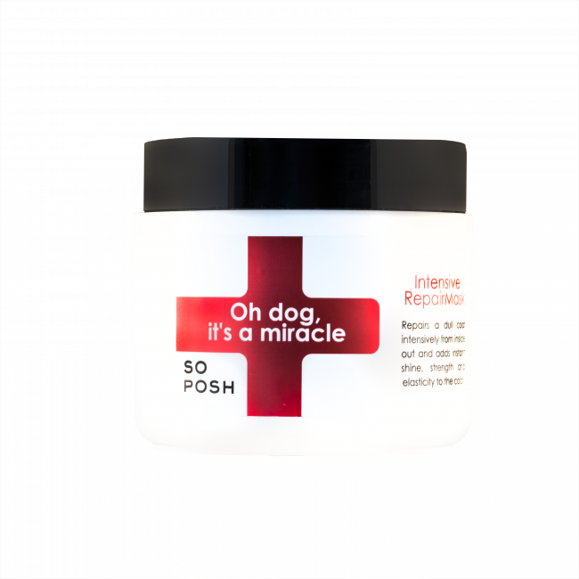 Oh Dog , It's a Miracle Mask - фото